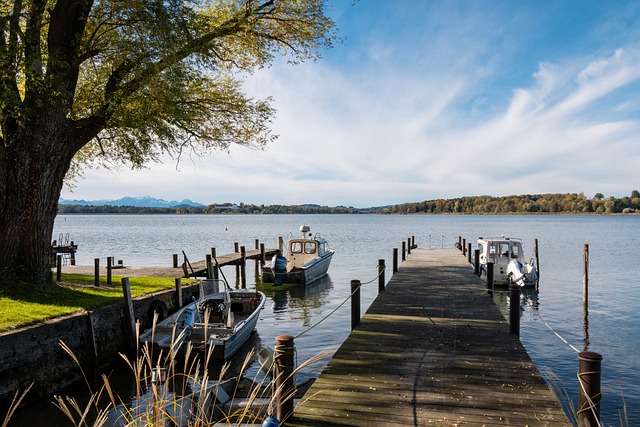 锋线新星的 锋线新星的