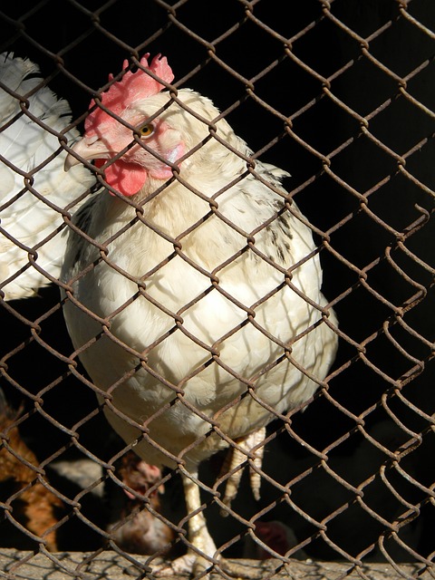 这一目标直 这一目标直